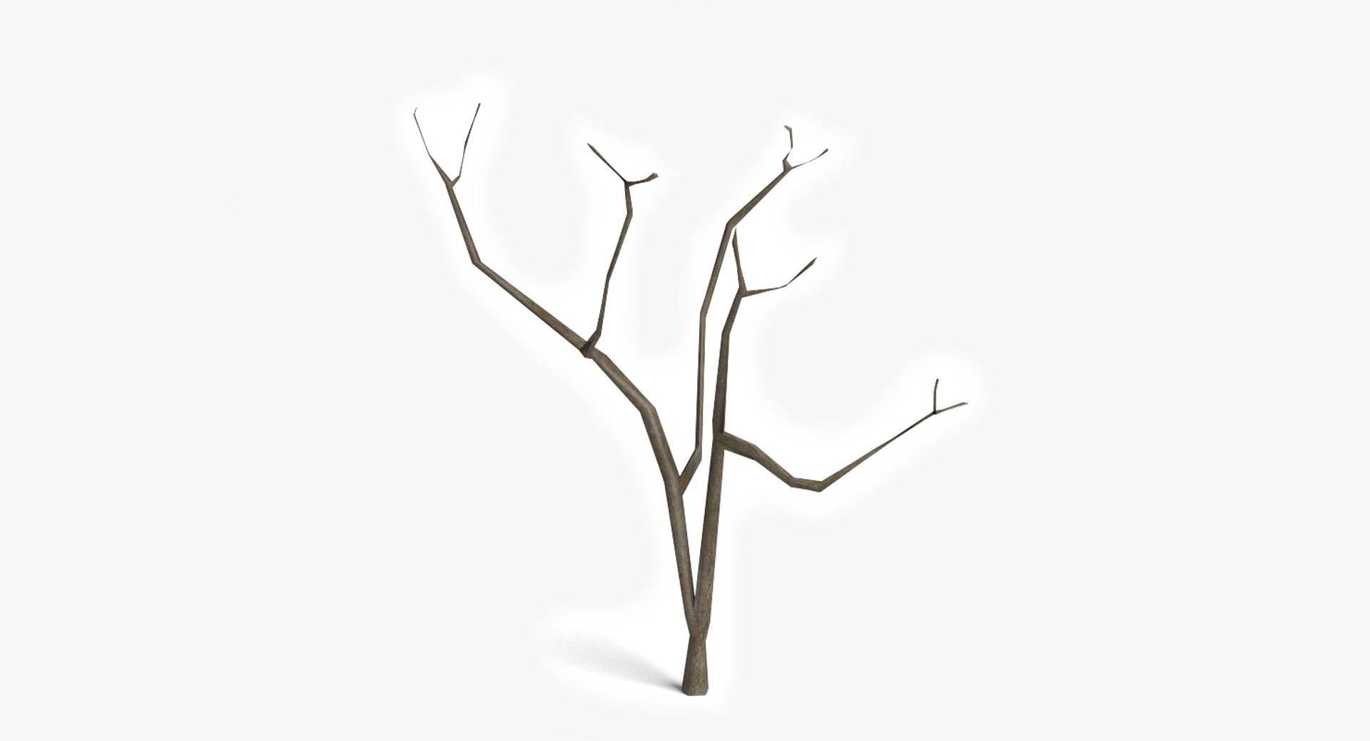 3d dead plant tree model https://p.turbosquid.com/ts-thumb/bA/h8UDoY/vwjax5r9/thumbnail1/png/1421800673/1920x1080/fit_q87/27d98a74a73246dd3dd2ffb66d7fe61d1d2d23a3/thumbnail1.jpg