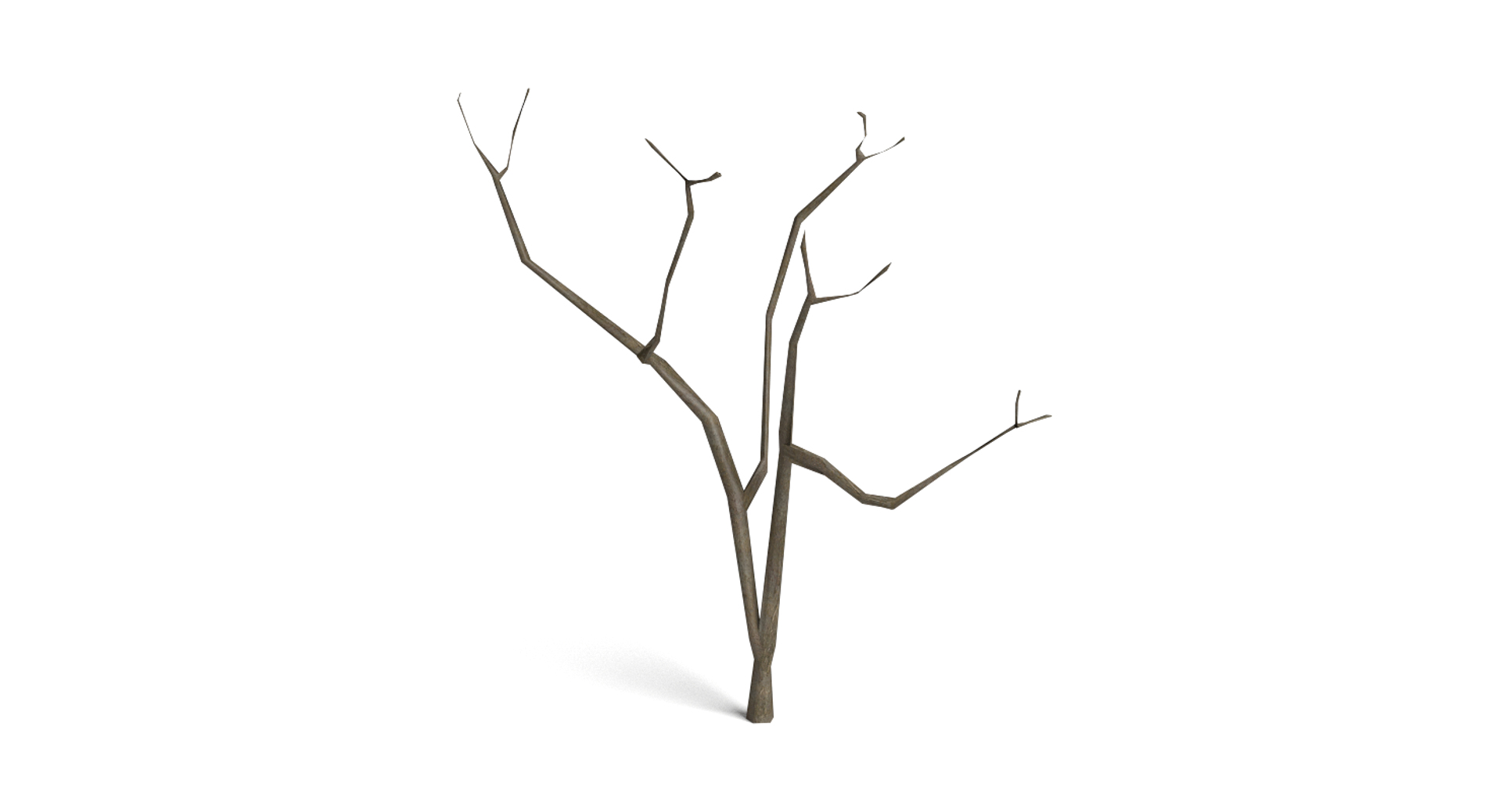 3d dead plant tree model https://p.turbosquid.com/ts-thumb/bA/h8UDoY/wWuCyq5p/image/png/1421800738/1920x1080/turn_fit_q99/555f9bde14d685c1159a1b7b949bb22284d28404/image-1.jpg