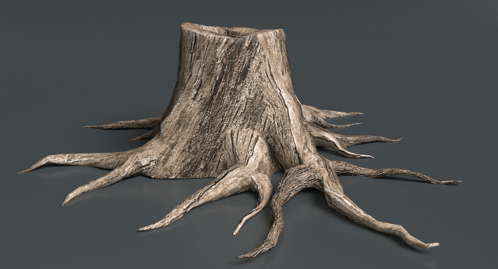 3d dead plant tree model https://p.turbosquid.com/ts-thumb/bA/h8UDoY/yAA2rlPv/thumbnail4/png/1421800856/1920x1080/fit_q87/40e8f15005946defb6b73025151102193fb6ad44/thumbnail4.jpg