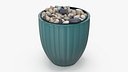 Planter with Pebbles