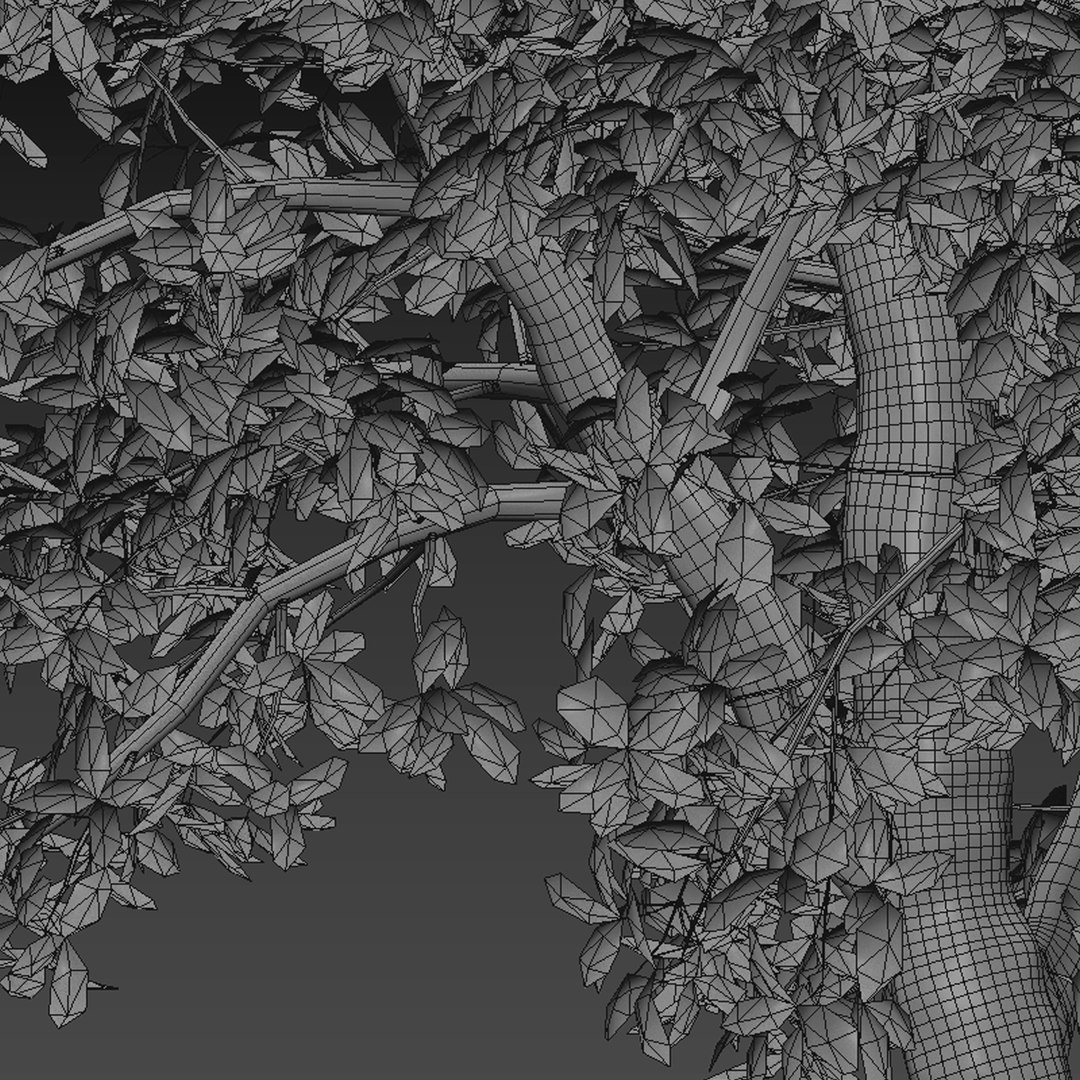 Set Of Chestnut Or Castanea Tree - 2 Trees Model - TurboSquid 1997924