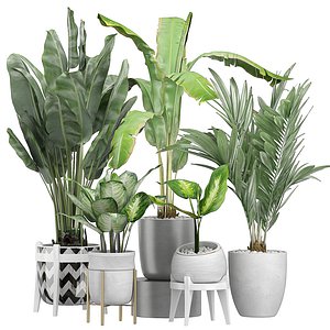 flower pack 112 3D model