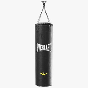 3D Detailed Heavy Punching Bag Everlast model