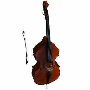 Double Bass