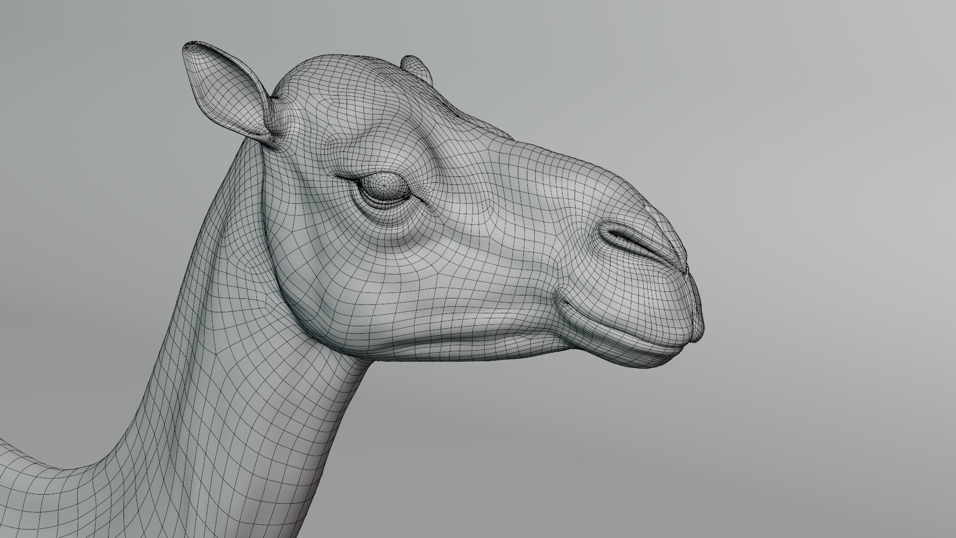 camel rigged animations 3D https://p.turbosquid.com/ts-thumb/bB/4TZAlu/2desAqKF/camel_wire07/png/1596181398/1920x1080/fit_q87/81d19ad5e8824239f1d4a87454d29482a7b2d95d/camel_wire07.jpg