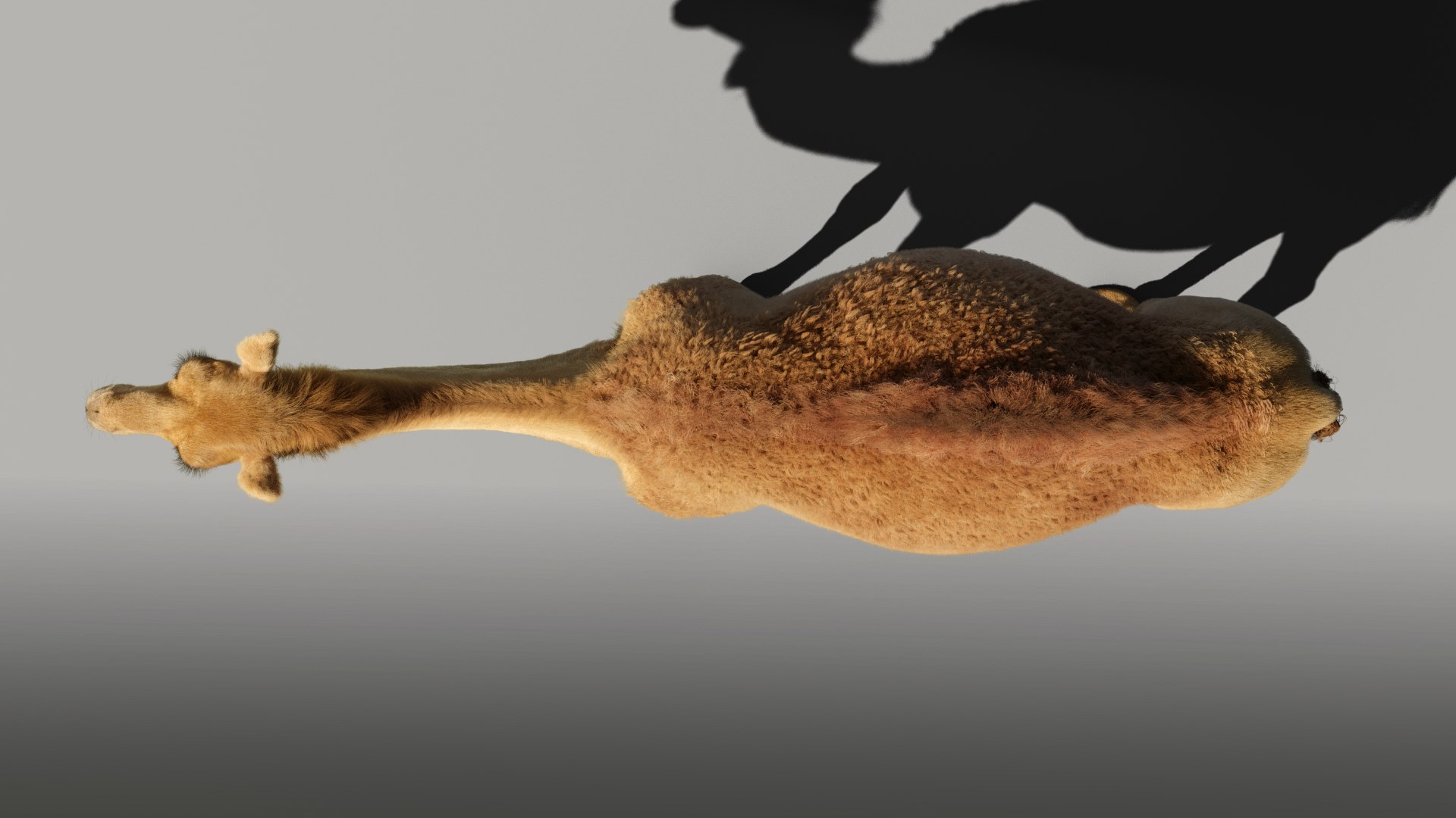 camel rigged animations 3D https://p.turbosquid.com/ts-thumb/bB/4TZAlu/SMPwRclW/camel_effectmap05/png/1596181397/1920x1080/fit_q87/ad66b2f7c4194da91628f5113722c13e8405cc2f/camel_effectmap05.jpg