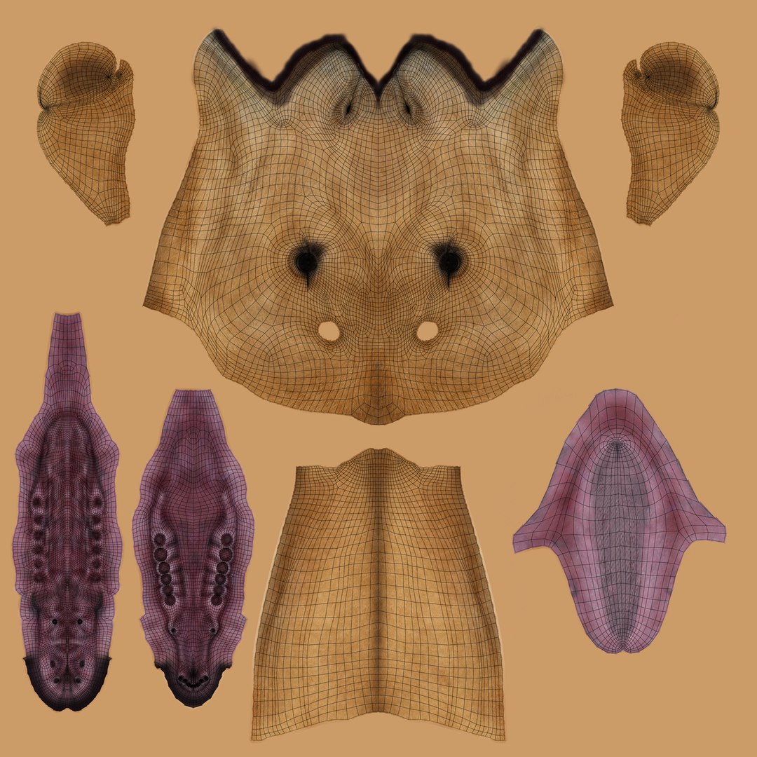 camel rigged animations 3D https://p.turbosquid.com/ts-thumb/bB/4TZAlu/hIK3YHwz/camel_uv01/png/1596181397/1920x1080/fit_q87/10e3d4015263884377378001291ca2cb219031fe/camel_uv01.jpg