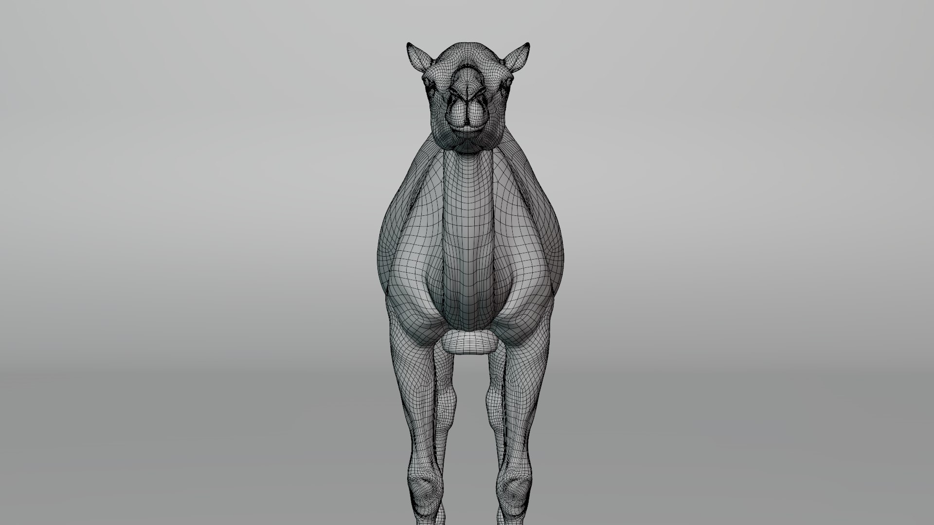 camel rigged animations 3D https://p.turbosquid.com/ts-thumb/bB/4TZAlu/p4QfI5oG/camel_wire01/png/1596181397/1920x1080/fit_q87/042880dc457e6491574942857da0168776e0e7ec/camel_wire01.jpg