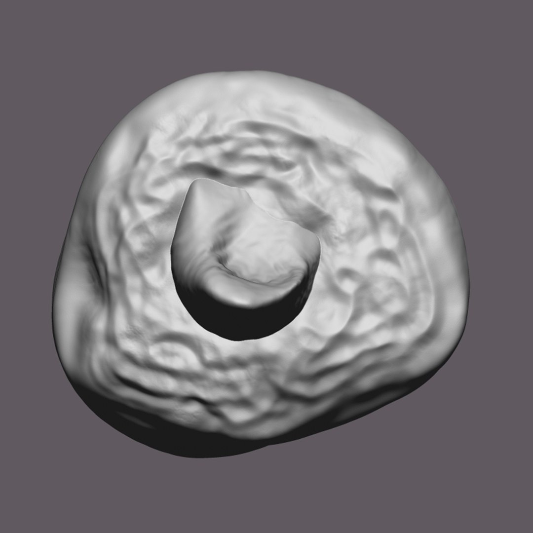 Severed Big Toe 3D Print Model model https://p.turbosquid.com/ts-thumb/bB/J4sDUN/2P/14/png/1640281974/1920x1080/fit_q87/d7dac2468e58e3a73d2db60e3fc7434d8cea0e00/14.jpg