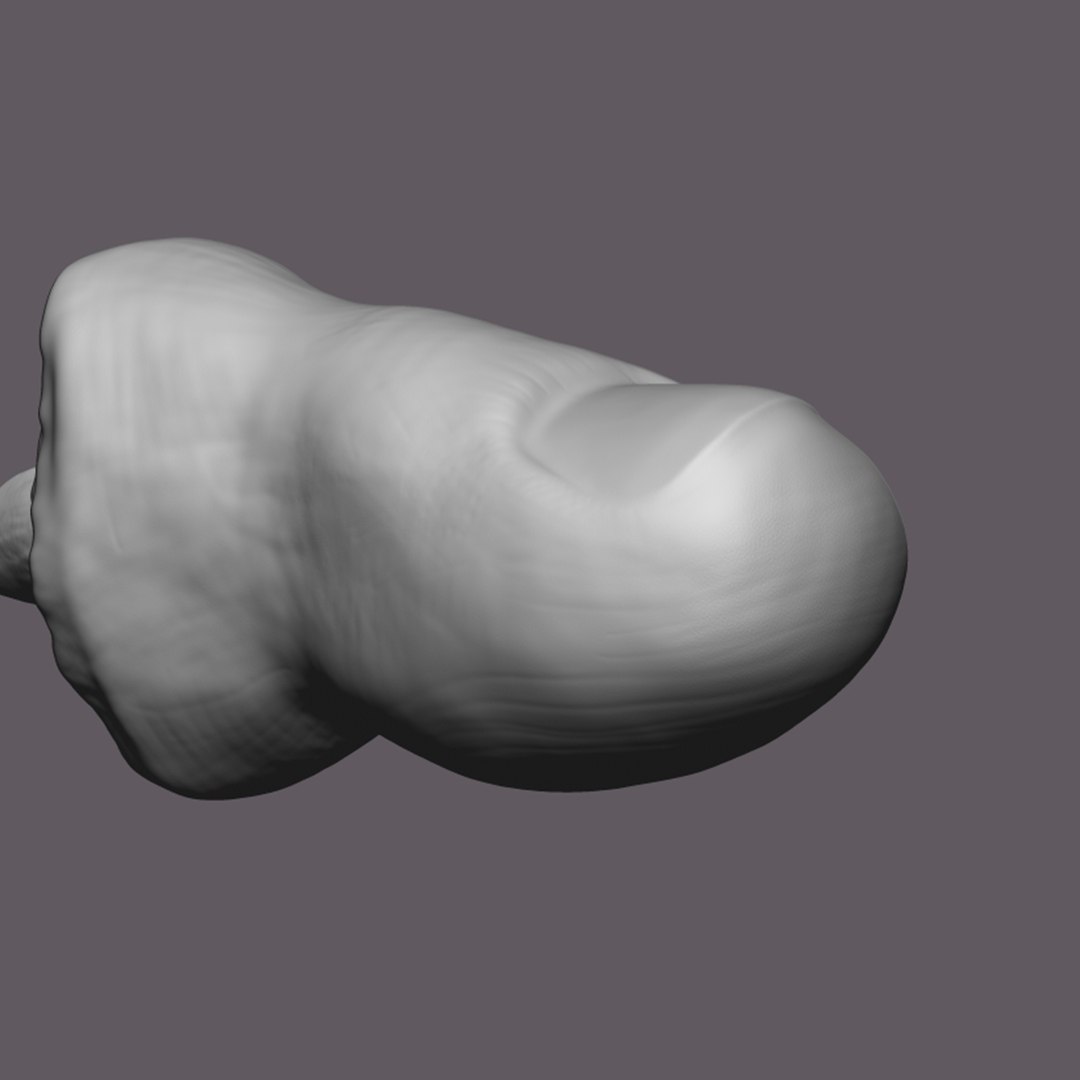Severed Big Toe 3D Print Model model https://p.turbosquid.com/ts-thumb/bB/J4sDUN/Ua/12/png/1640281971/1920x1080/fit_q87/e02702b6fc446884b432545df3fb6e76669427c6/12.jpg