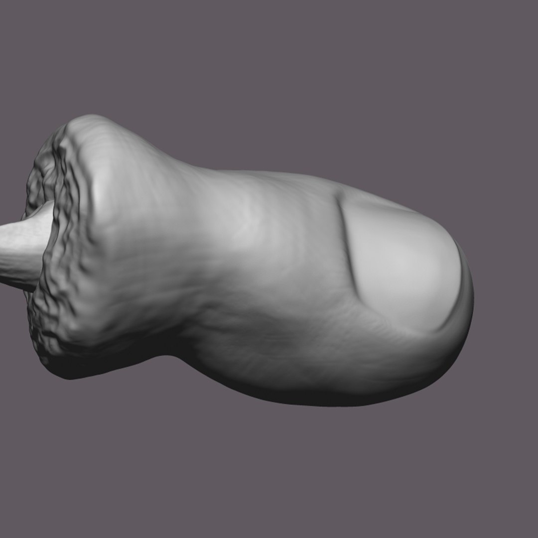 Severed Big Toe 3D Print Model model https://p.turbosquid.com/ts-thumb/bB/J4sDUN/d2/13/png/1640281974/1920x1080/fit_q87/e019b12d1a9e30d32b18a9dfe3d31fe6c381fd05/13.jpg
