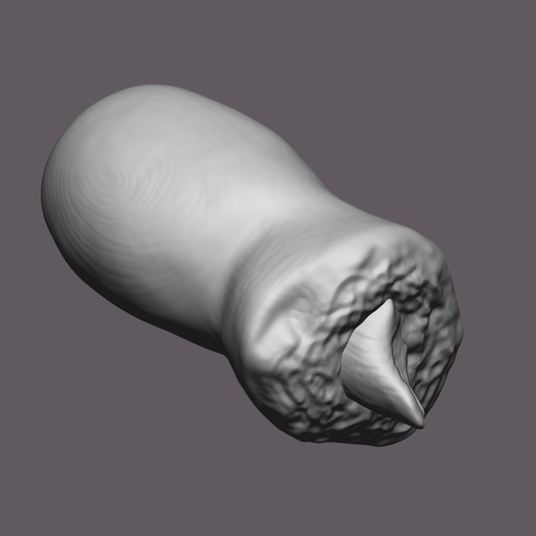 Severed Big Toe 3D Print Model model https://p.turbosquid.com/ts-thumb/bB/J4sDUN/f3/8/png/1640281973/1920x1080/fit_q87/1e62676c0aae9d4eae72518be3ae6abc7065a64d/8.jpg