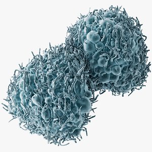 3D Cancer Cells Brain 30 model