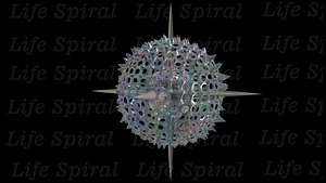 3D radiolaria