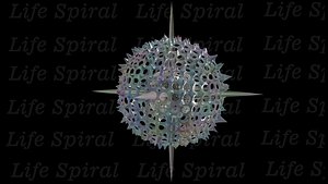 Radiolaria Polycistina Acantharea