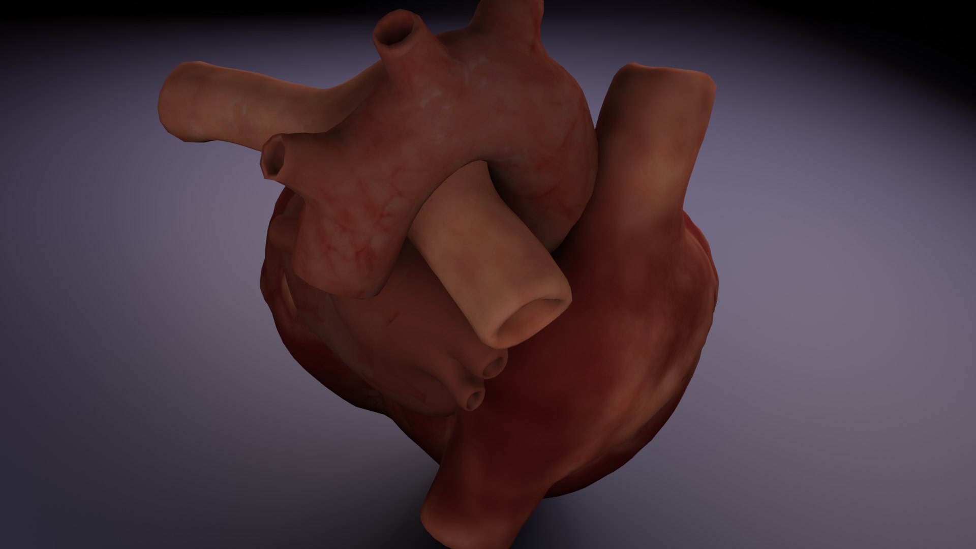 3D Human Heart Week Sixteen 16 3D Model Model - TurboSquid 2291333