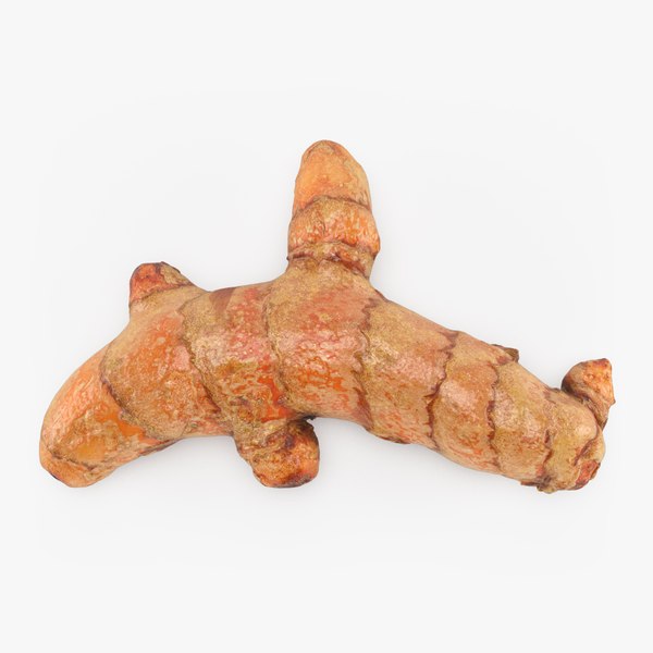 Turmeric v2 3D model