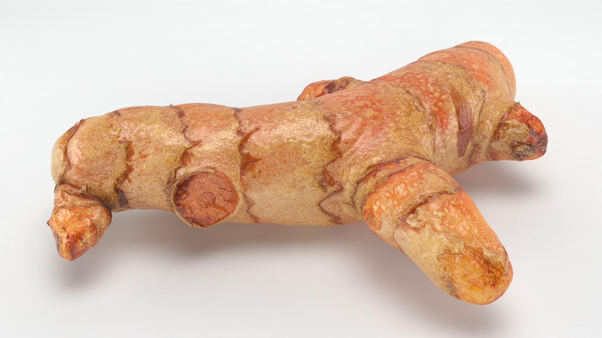 Turmeric V2 3D Model - TurboSquid 1856158