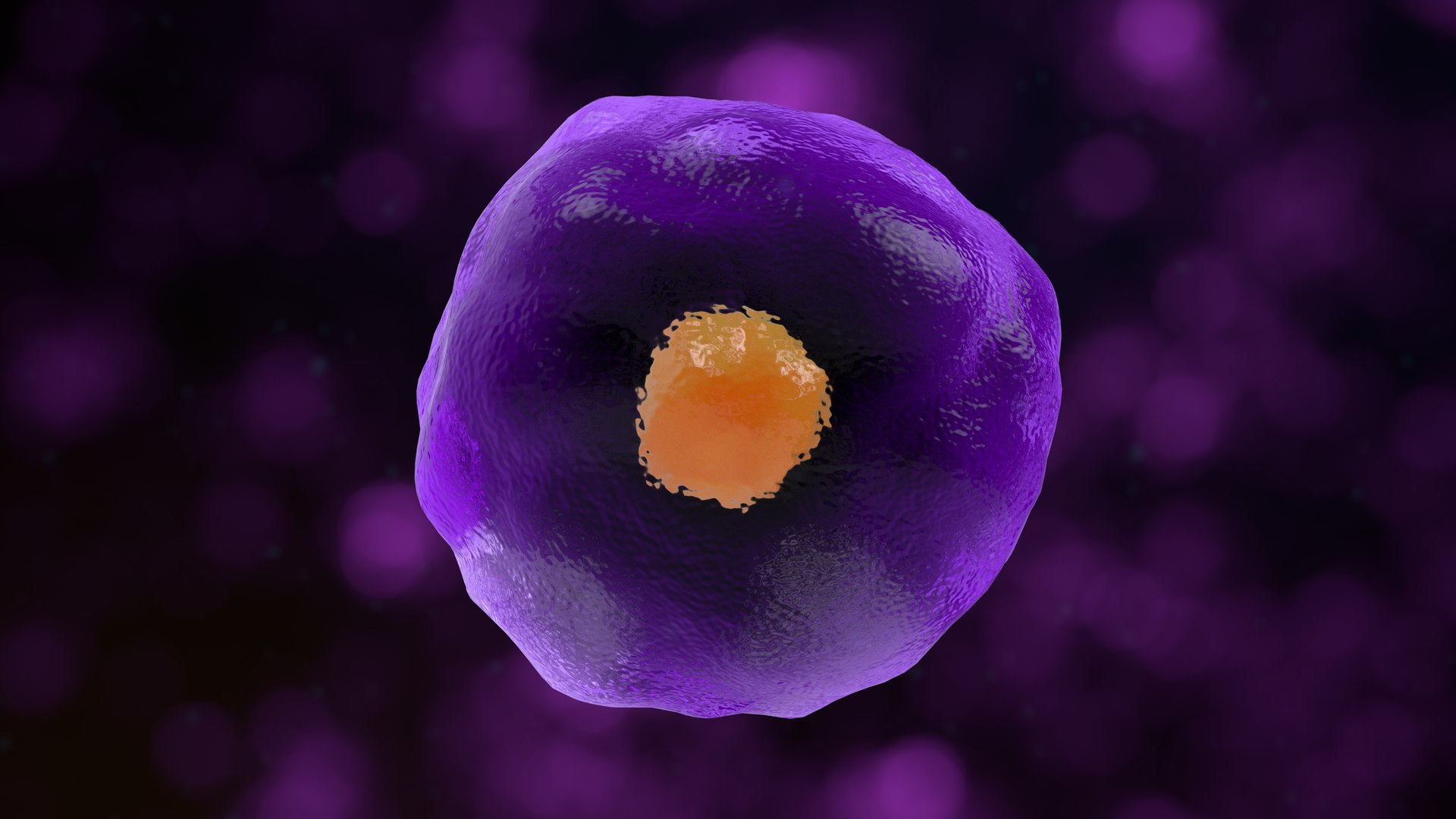 3D Cytotoxic T Cell https://p.turbosquid.com/ts-thumb/bB/lCMkPp/Fl/36_cytotoxictcell_0003/jpg/1744644307/1920x1080/fit_q87/4bebc188223cd7dc2e1c278a8882ad946da12ec9/36_cytotoxictcell_0003.jpg