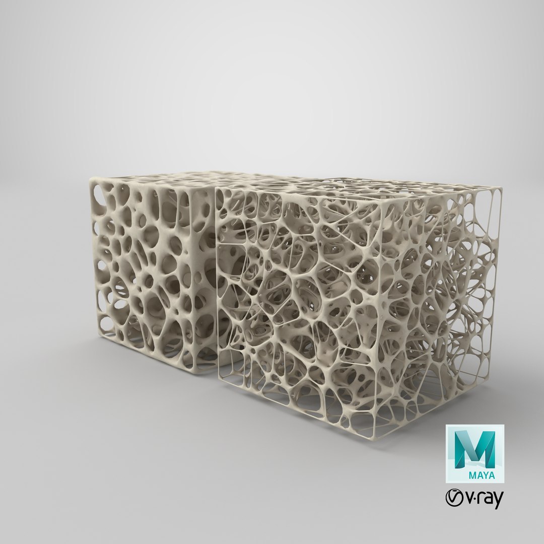 3D Cube Bone Matrix https://p.turbosquid.com/ts-thumb/bB/oKI36q/Hw/stemcell_maya_vray_render/png/1656614585/1920x1080/fit_q87/30ed360b63a5c1ae643dbd84970370746776e5c7/stemcell_maya_vray_render.jpg