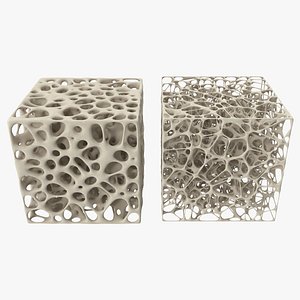 3D Cube Bone Matrix