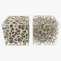 Cube Bone Matrix