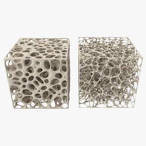 Cube Bone Matrix