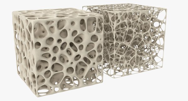 3D Cube Bone Matrix - TurboSquid 1913558