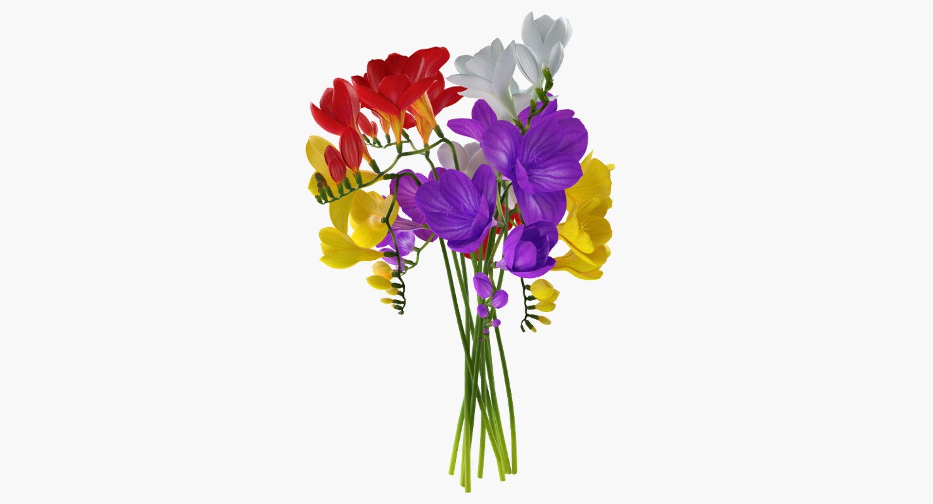 Freesia Bouquet 3D model preview