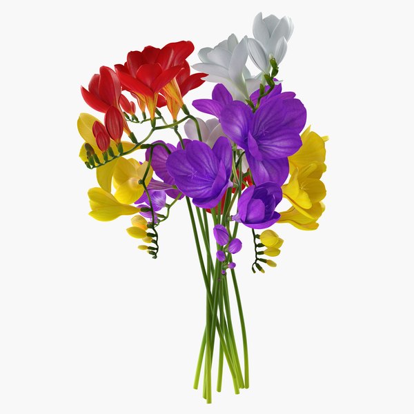 freesia bouquet 3D model