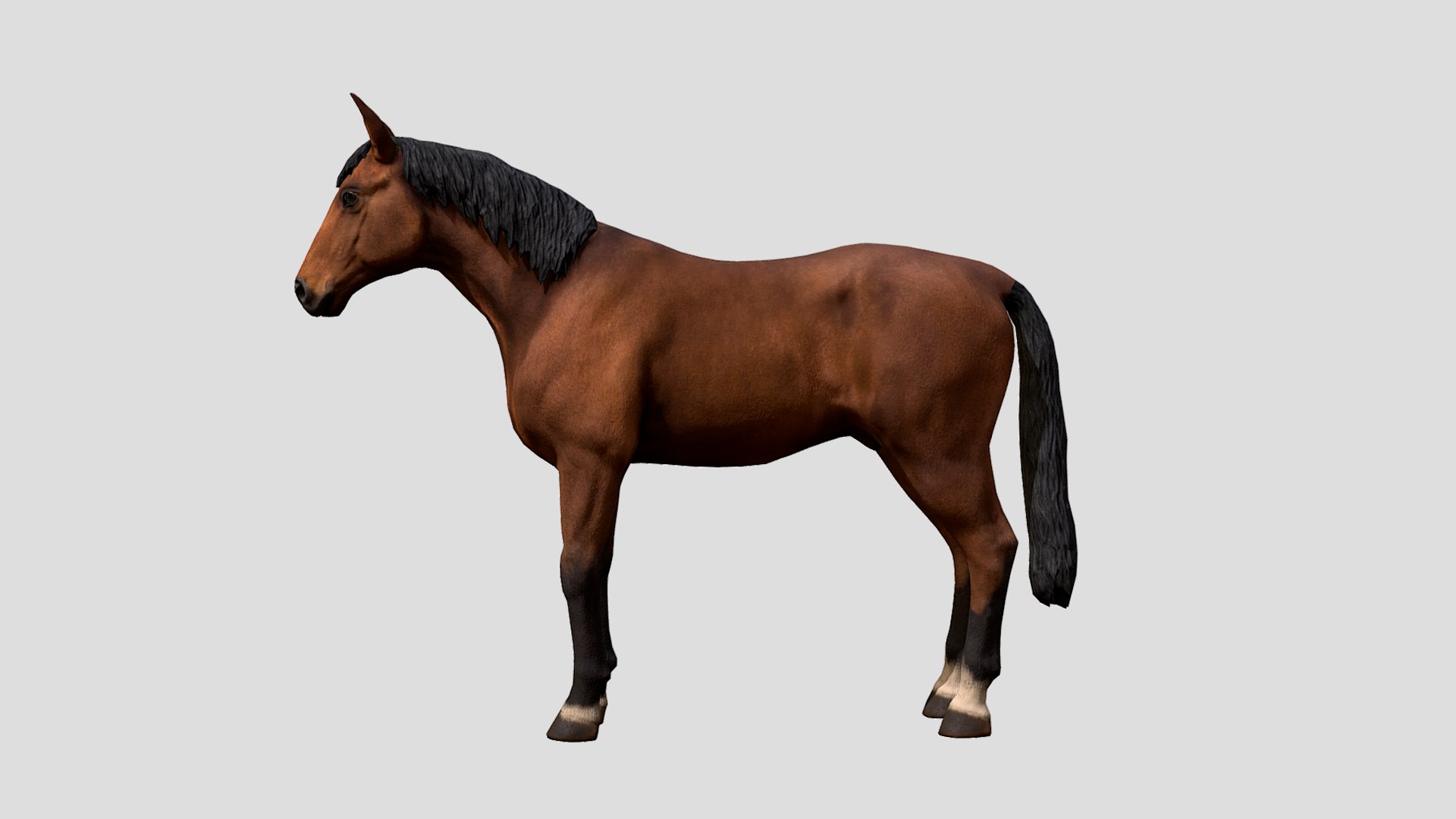 3D Horse Model - TurboSquid 1938854