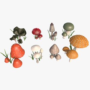 3D Mushroom Model Pack  8 Detailed Mushrooms in One Scene model