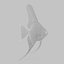 Scalar fish