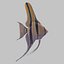 Scalar fish