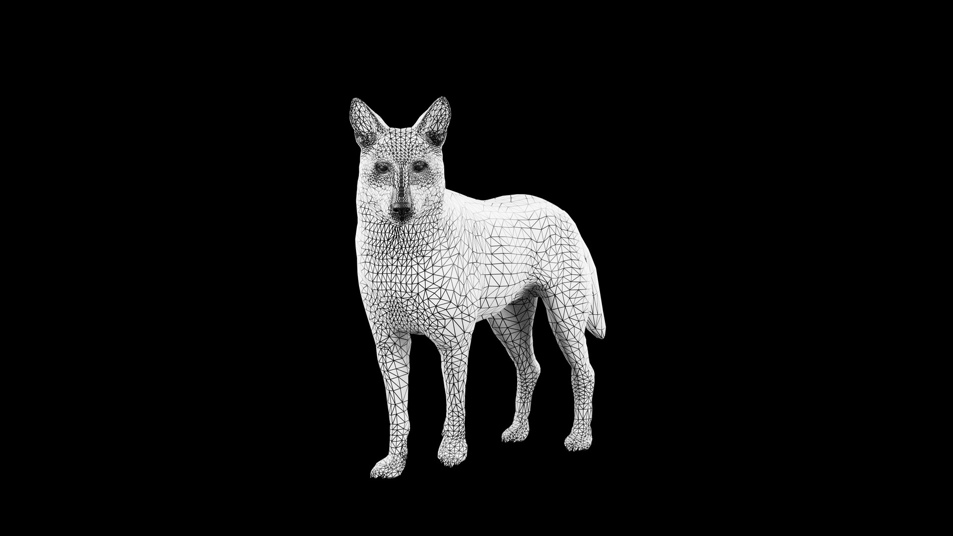 Wolves Basic Rigged 3D Model model https://p.turbosquid.com/ts-thumb/bC/GSX4Zi/9x/11/png/1723527530/1920x1080/fit_q87/a13325f554dbd6e87e424f8a29e9be2c6c436fdf/11.jpg