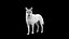 Wolves Basic Rigged 3D Model model