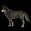 Wolves Basic Rigged 3D Model model
