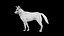 Wolves Basic Rigged 3D Model model