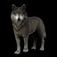 Wolves Basic Rigged 3D Model model