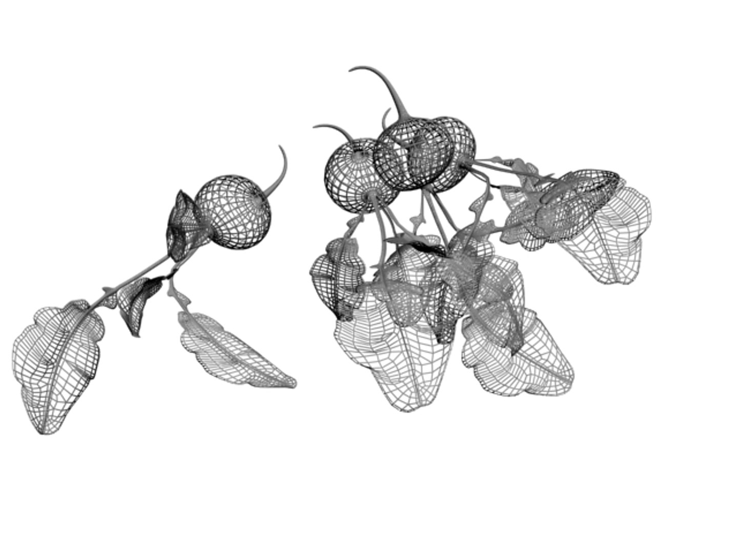 beet greens 3D model https://p.turbosquid.com/ts-thumb/bC/OhOn6R/p0hhsIG1/p5/jpg/1568737266/1920x1080/fit_q87/b3c7dbe2aef5c803f22c0270ed4a435e425cc685/p5.jpg