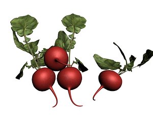 beet greens 3D model