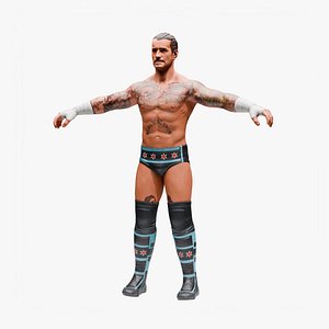 3D CM Punk - WWE