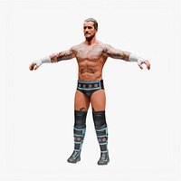 CM Punk - WWE