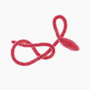 Ebola Virus