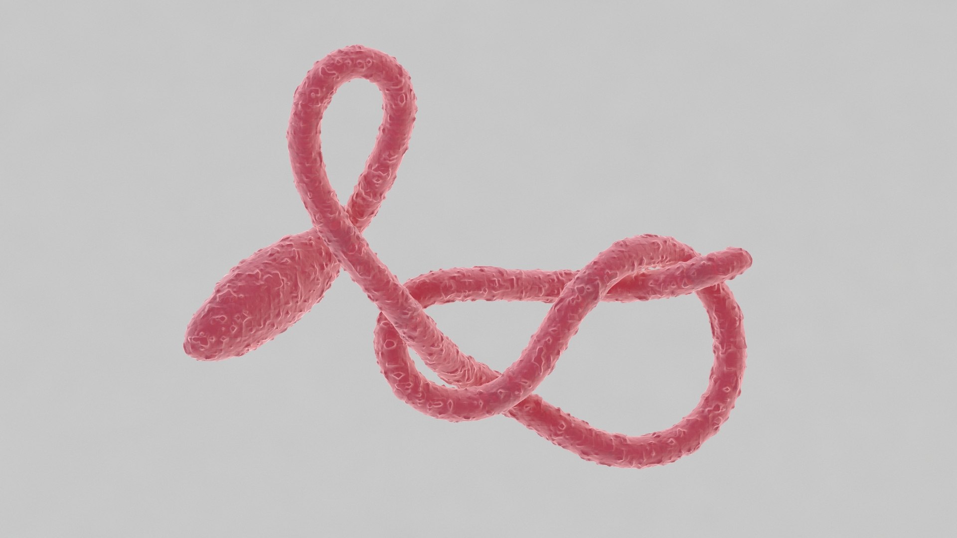 ebola virus 3D model https://p.turbosquid.com/ts-thumb/bC/Sceh6v/6wsPrcTf/ebola_0020/jpg/1583344009/1920x1080/fit_q87/1015190d02b8f33f3e747ce71fdc9aa0bc7ac7e4/ebola_0020.jpg