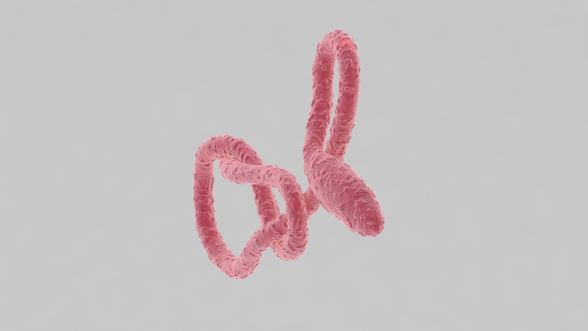 ebola virus 3D model https://p.turbosquid.com/ts-thumb/bC/Sceh6v/I8ry4aLS/ebola_0030/jpg/1583344009/1920x1080/fit_q87/36cc69028053a6c603fc7efd2692423d569cdd53/ebola_0030.jpg
