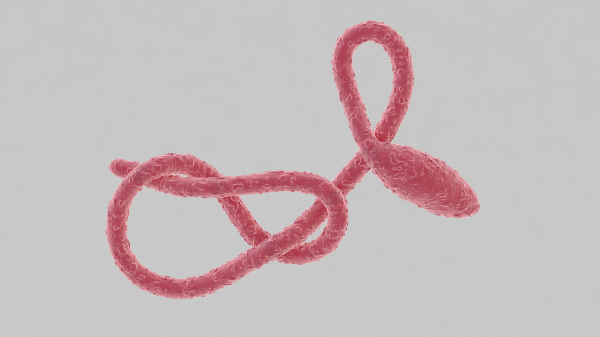 ebola virus 3D model https://p.turbosquid.com/ts-thumb/bC/Sceh6v/OJW9YGCk/ebola/jpg/1583343923/1920x1080/turn_fit_q99/8bf53fa9bb1e1e80e62cc4972f3d1301ba69b7fe/ebola-1.jpg