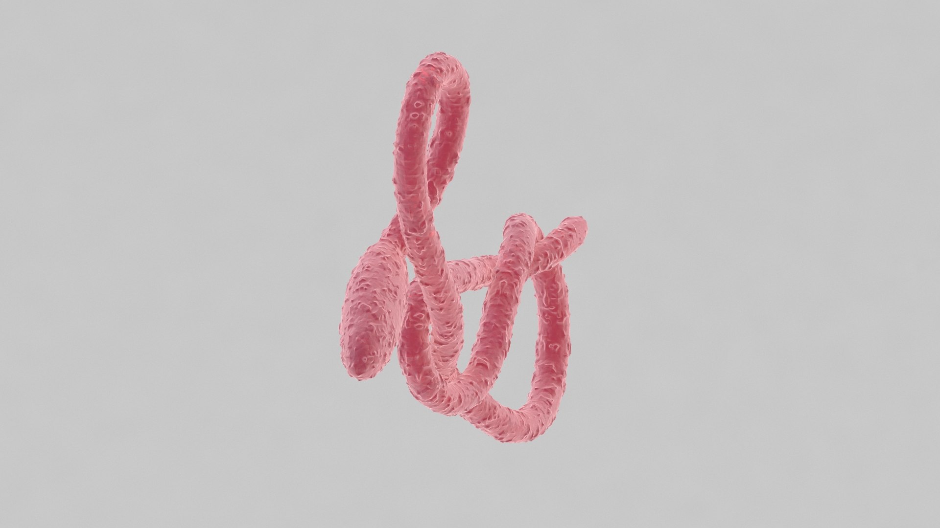 ebola virus 3D model https://p.turbosquid.com/ts-thumb/bC/Sceh6v/g4liwlXp/ebola_0025/jpg/1583344009/1920x1080/fit_q87/b30b342a75c4bb23d3667ace0a0dbb8ad42a8b7c/ebola_0025.jpg