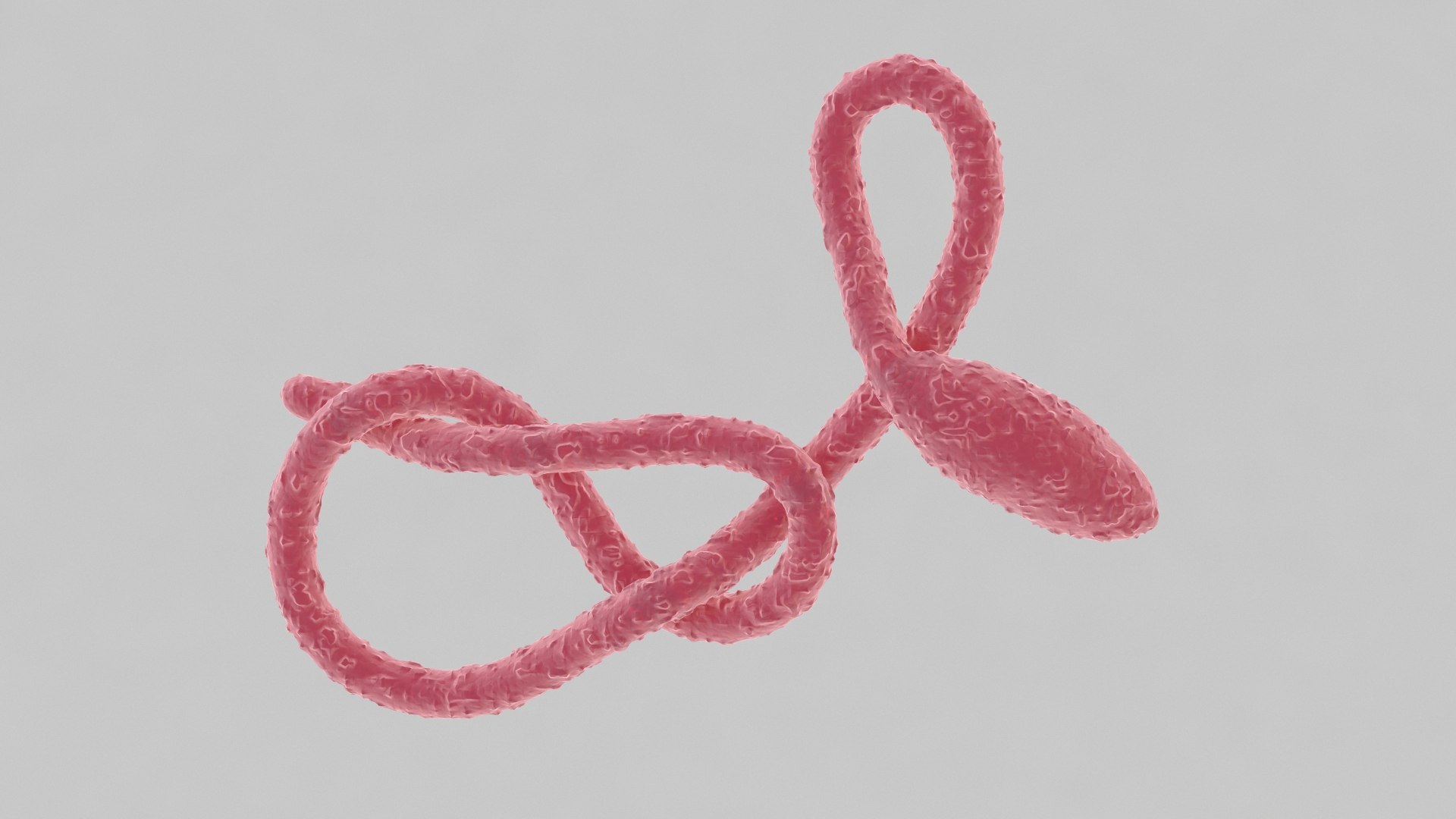 ebola virus 3D model https://p.turbosquid.com/ts-thumb/bC/Sceh6v/qpNzmIZb/ebola_0035/jpg/1583344009/1920x1080/fit_q87/78bdfbeb40385a7c00e873cb9a41db10c728a7bb/ebola_0035.jpg