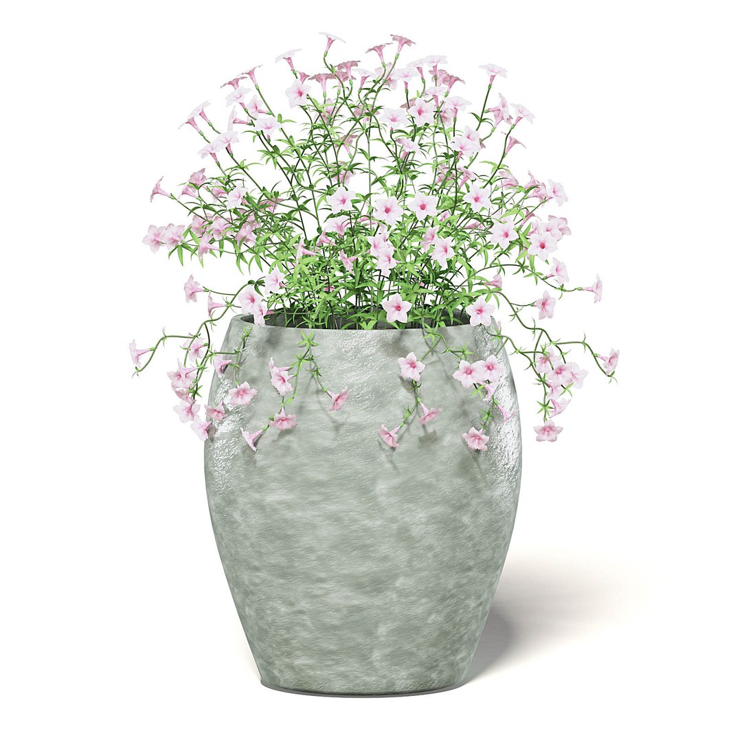 plants potted flowers 3D model https://p.turbosquid.com/ts-thumb/bC/Wy38I1/UrKw9o5p/cgaxis_models_111_2900/jpg/1552600851/1920x1080/fit_q87/70d937d919db79ccb1ee3efa00fbd0240fe0a5a5/cgaxis_models_111_2900.jpg